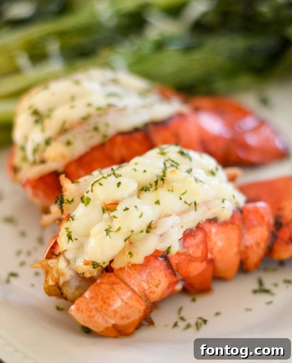A close-up of a perfectly grilled and seasoned Ninja Foodi Lobster Tail.
