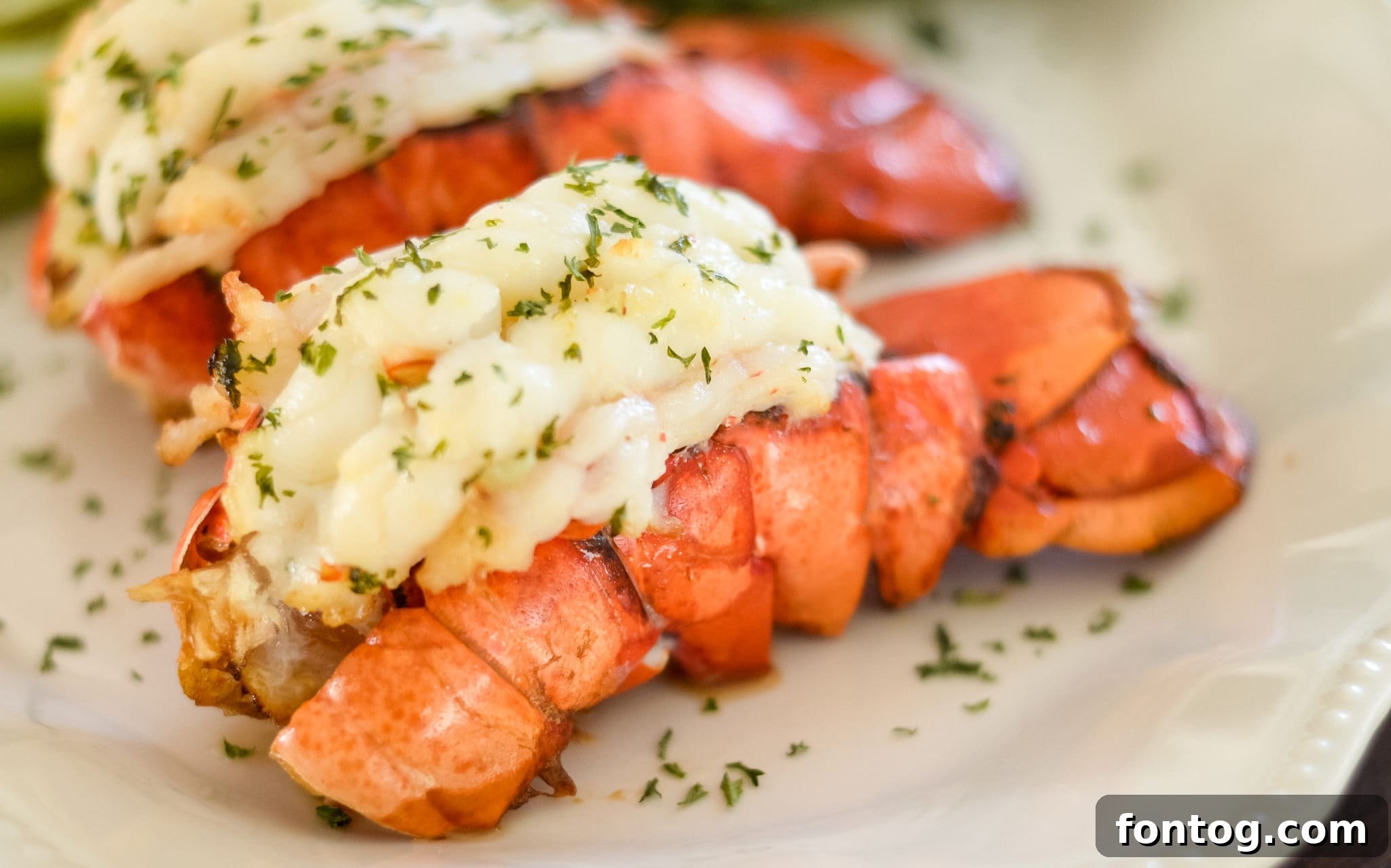 Grilled Lobster Tail prepared in the Ninja Foodi