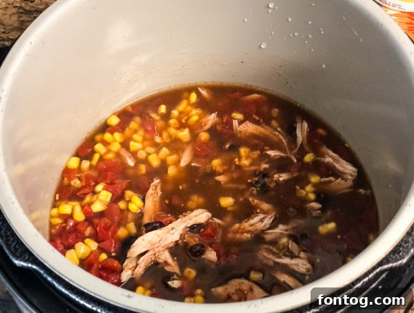Ninja Foodi Chicken Taco Soup (Gluten-Free)