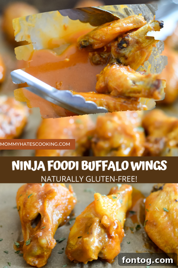 NINJA FOODI BUFFALO WINGS