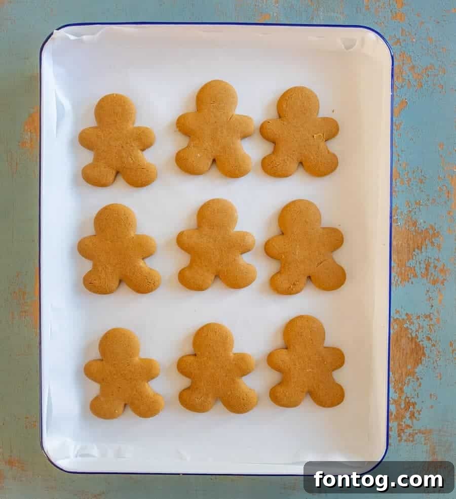 The BEST Gluten-Free Gingerbread Cookies