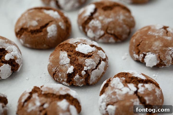 Gluten Free Gingerbread Crinkle Cookies