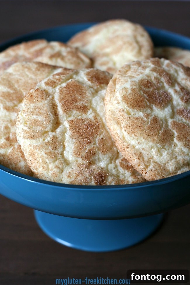Gluten-free Snickerdoodles