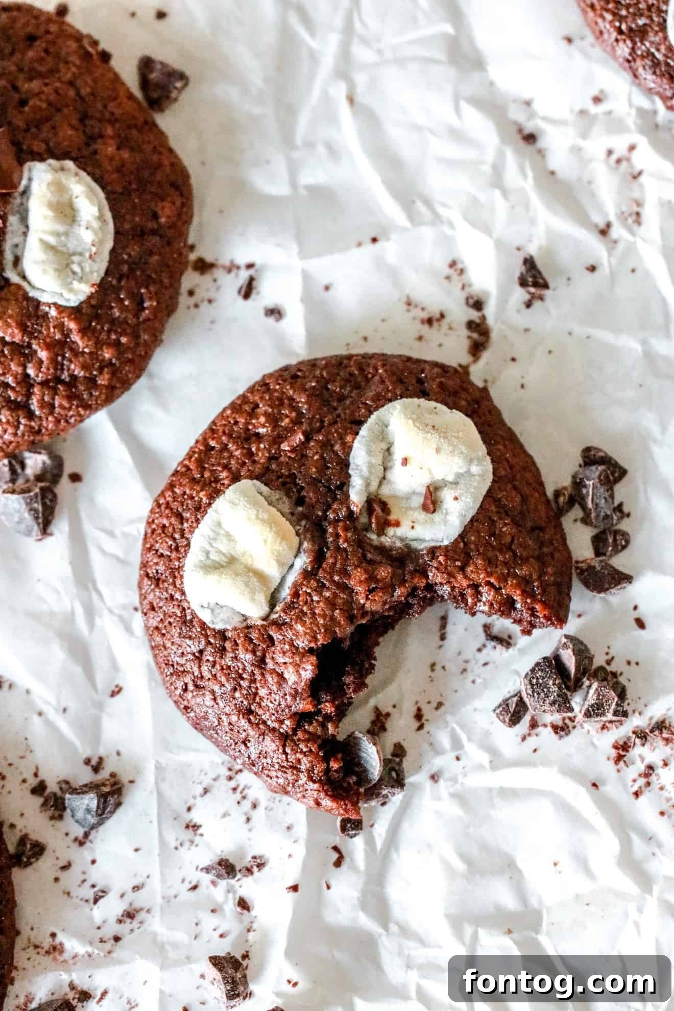 Gluten Free Hot Cocoa Christmas Cookies – The Toasted Pine Nut