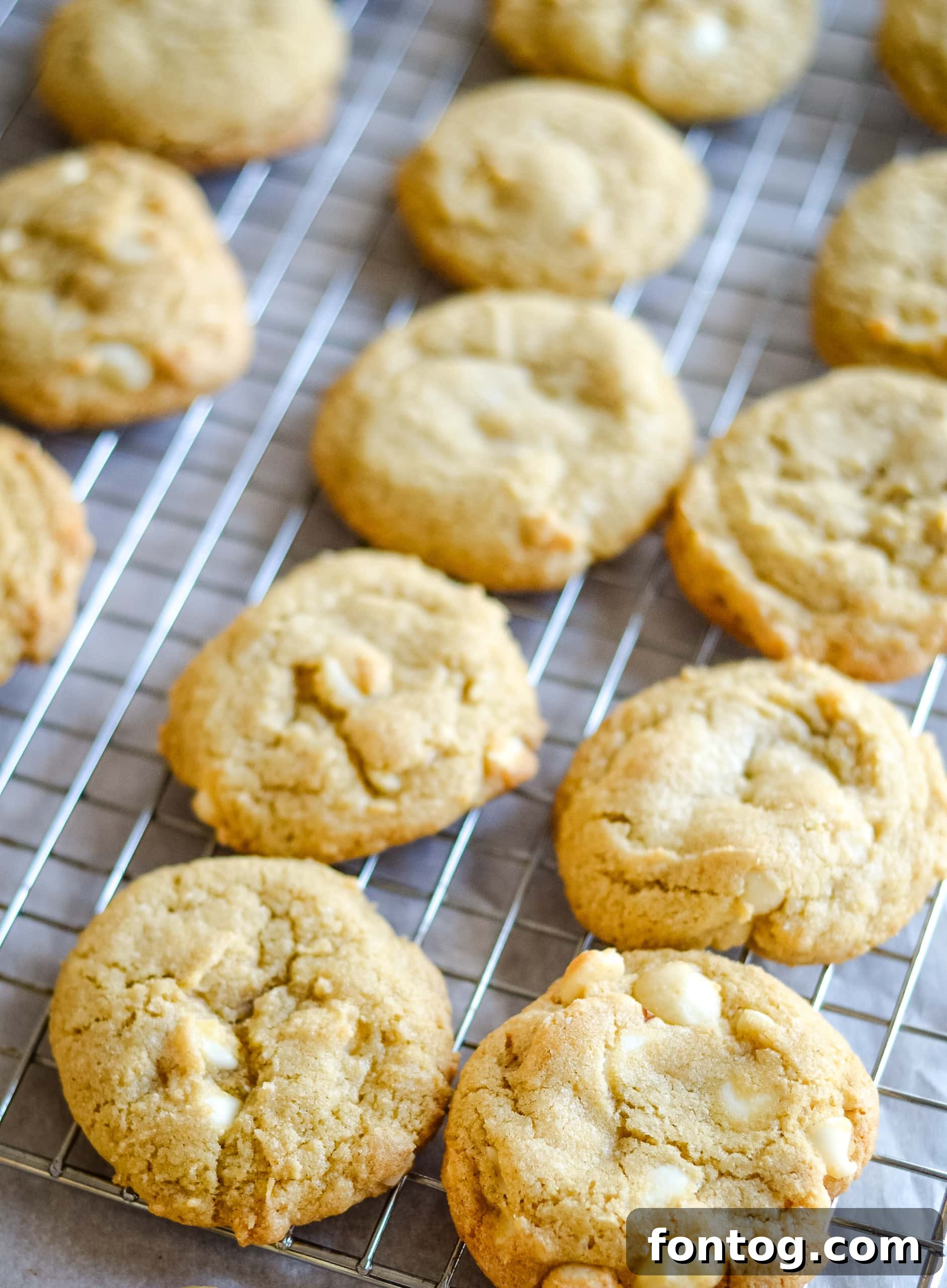 Gluten Free White Chocolate Macadamia Nut Cookies