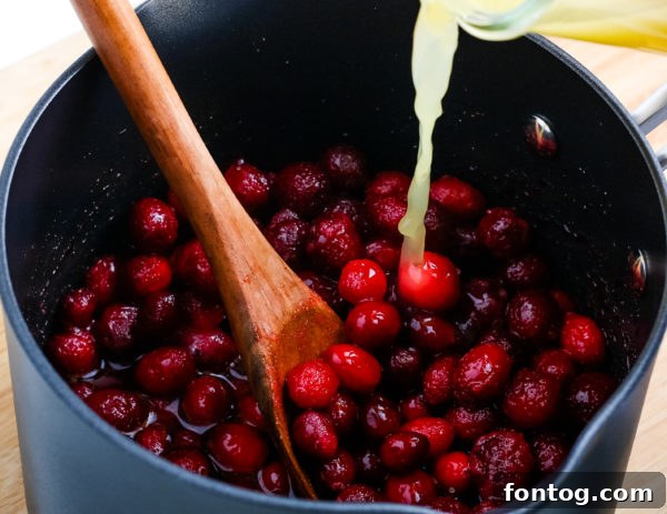 Homemade Cranberry Sauce (Gluten-Free)