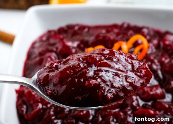 Homemade Cranberry Sauce (Gluten-Free)