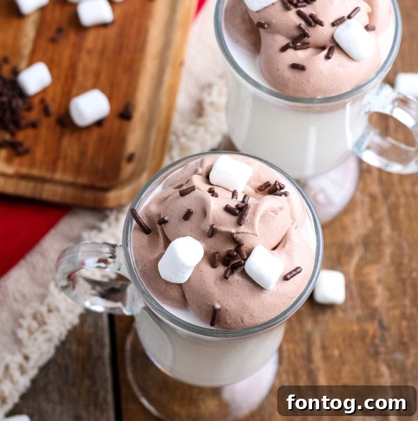 Whipped Hot Chocolate (Gluten-Free) - A freshly made cup of whipped hot chocolate with toppings.