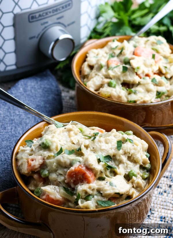 Comforting Crockpot Chicken and Dumplings ready to serve