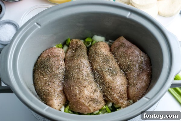 Raw chicken breasts being placed in a crockpot for chicken and dumplings