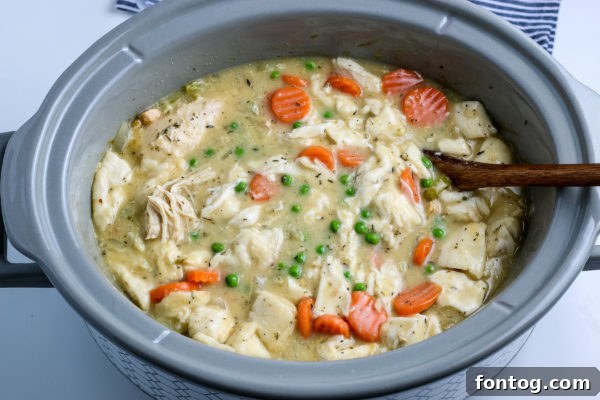 Cooked canned biscuit dumplings in Crockpot Chicken and Dumplings