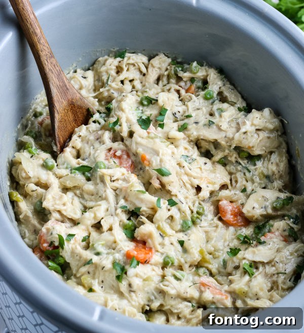 A serving of Crockpot Chicken and Dumplings in a bowl