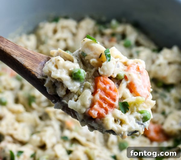 Close-up of Crockpot Chicken and Dumplings with a spoon