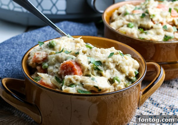 Crockpot Chicken and Dumplings in a bowl, close up