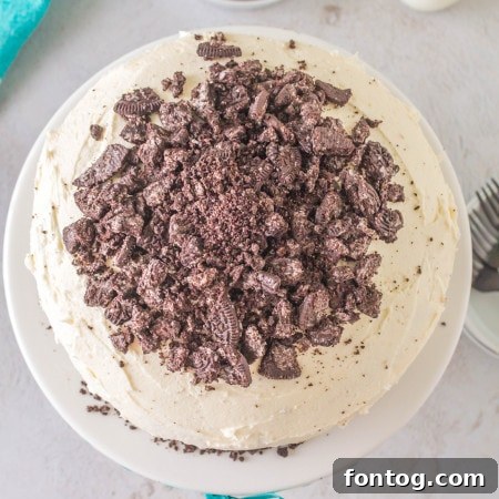 A freshly baked cake in a springform pan, ready to be removed from an air fryer.