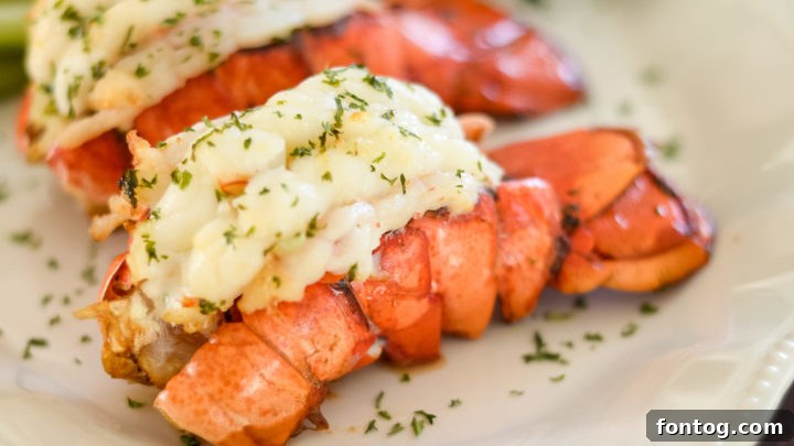 Ninja Foodi Grilled Lobster Tail