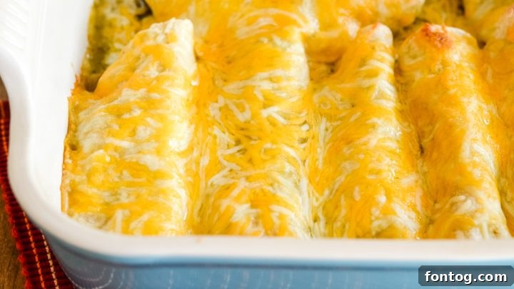 Hearty and cheesy Chicken Enchiladas, a comforting family meal