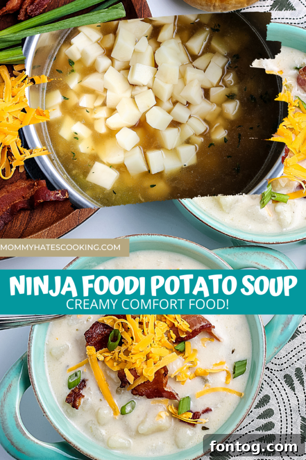 Promotional image for Ninja Foodi Potato Soup (Gluten-Free) recipe.