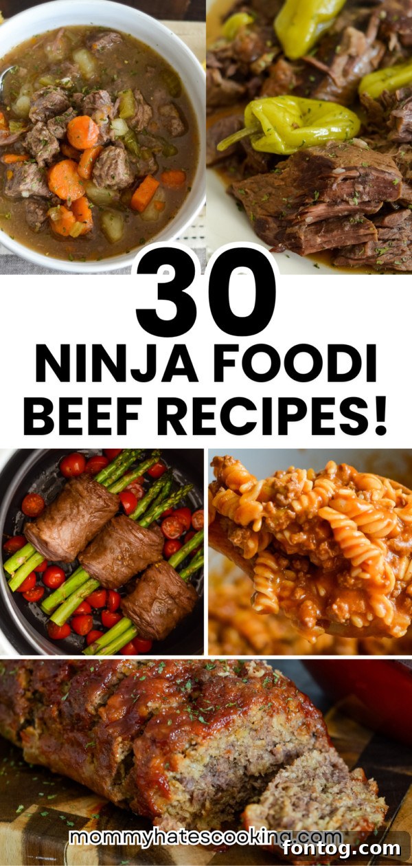 Collection of Ninja Foodi beef recipes including roasts, stews, and steaks