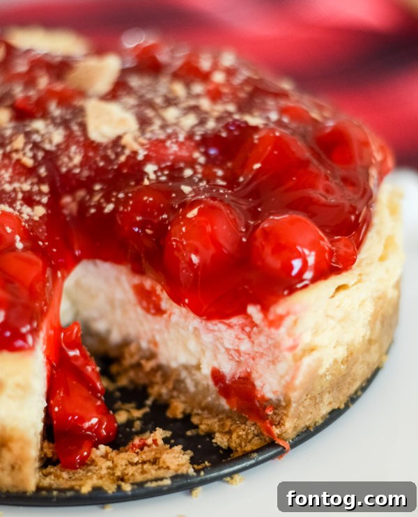 A whole Ninja Foodi Cheesecake, plain, ready for topping. Shows the sturdy crust and creamy texture.