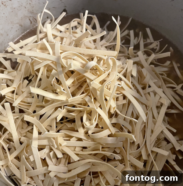 ninja foodi beef stroganoff