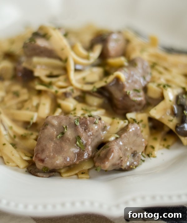 Ninja Foodi Beef Stroganoff (Gluten-Free)