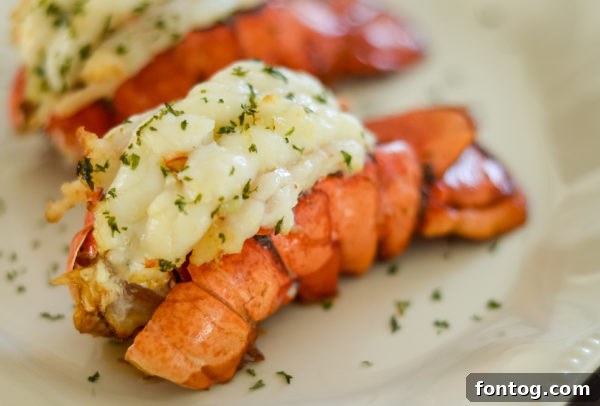 Perfectly cooked Ninja Foodi Grilled Lobster Tail on a plate