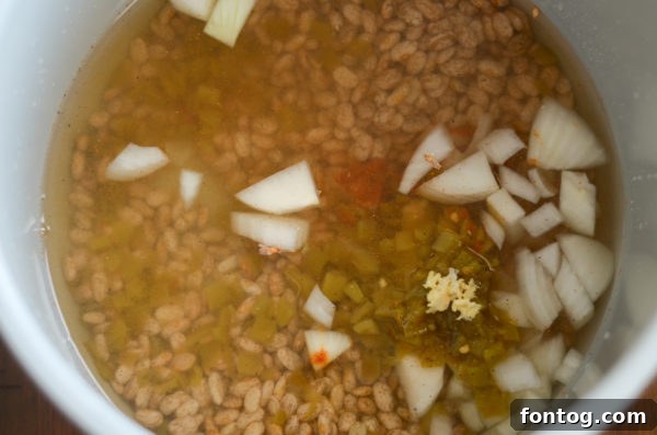 Ninja Foodi Speedy No-Soak Beans 4 Ninja Foodi Beans (No Soak Method) - Ready to Serve