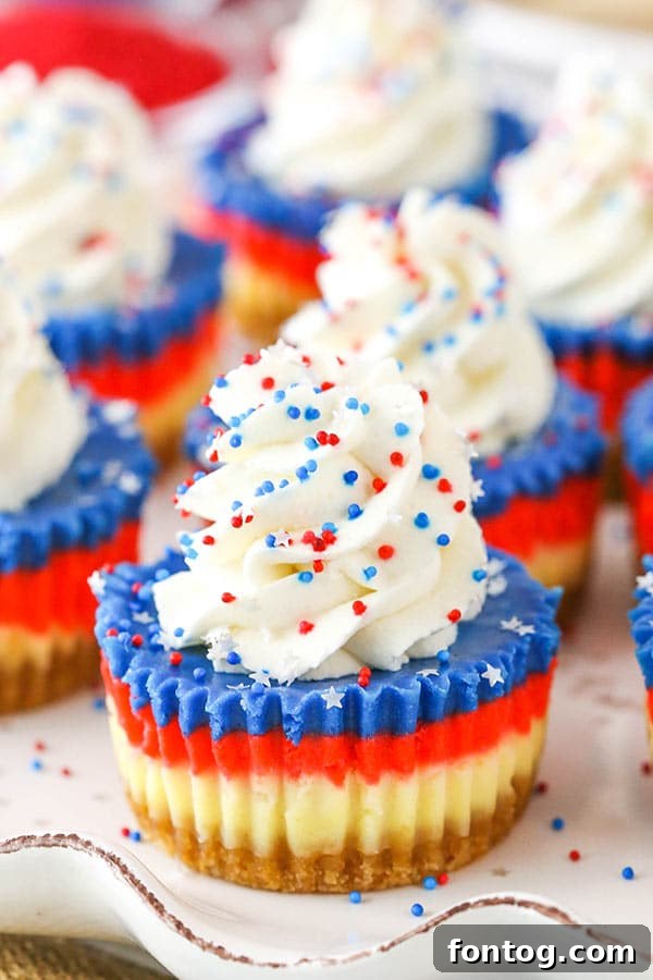 Red, White & Blue Mini Cheesecakes