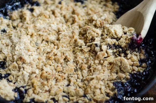 Pellet Smoked Blueberry Crisp 5 Four bowls of grilled fruit crisp: blueberry, apple, peach, and blackberry, showcasing different fruit variations.