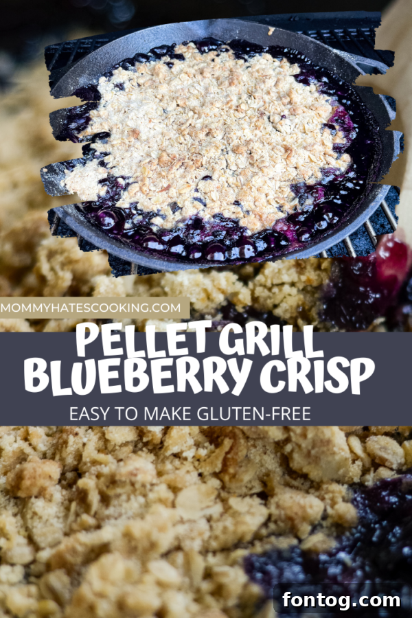 Pellet Smoked Blueberry Crisp 7 Large Pinterest graphic for Grilled Blueberry Crisp featuring a finished crisp with ice cream, text overlay, and blog branding.