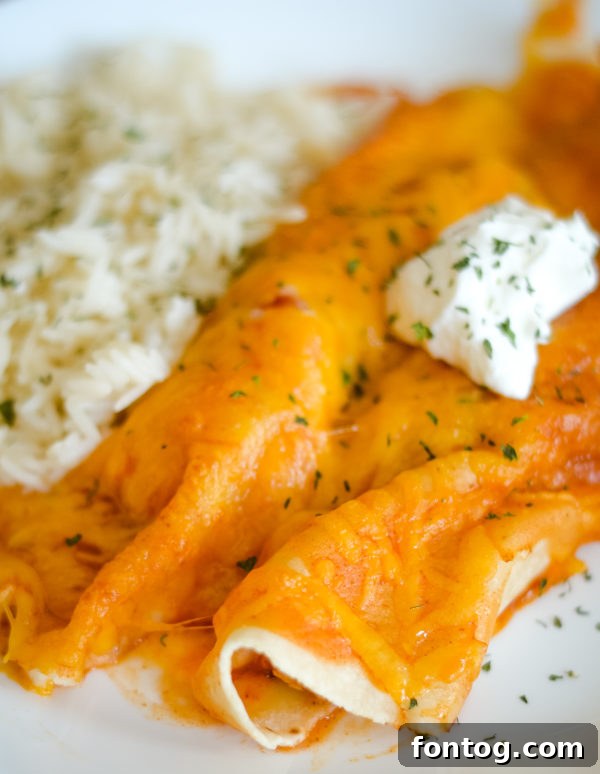 Flavorful Ninja Foodi Chicken Enchiladas, a quick and easy dinner solution.