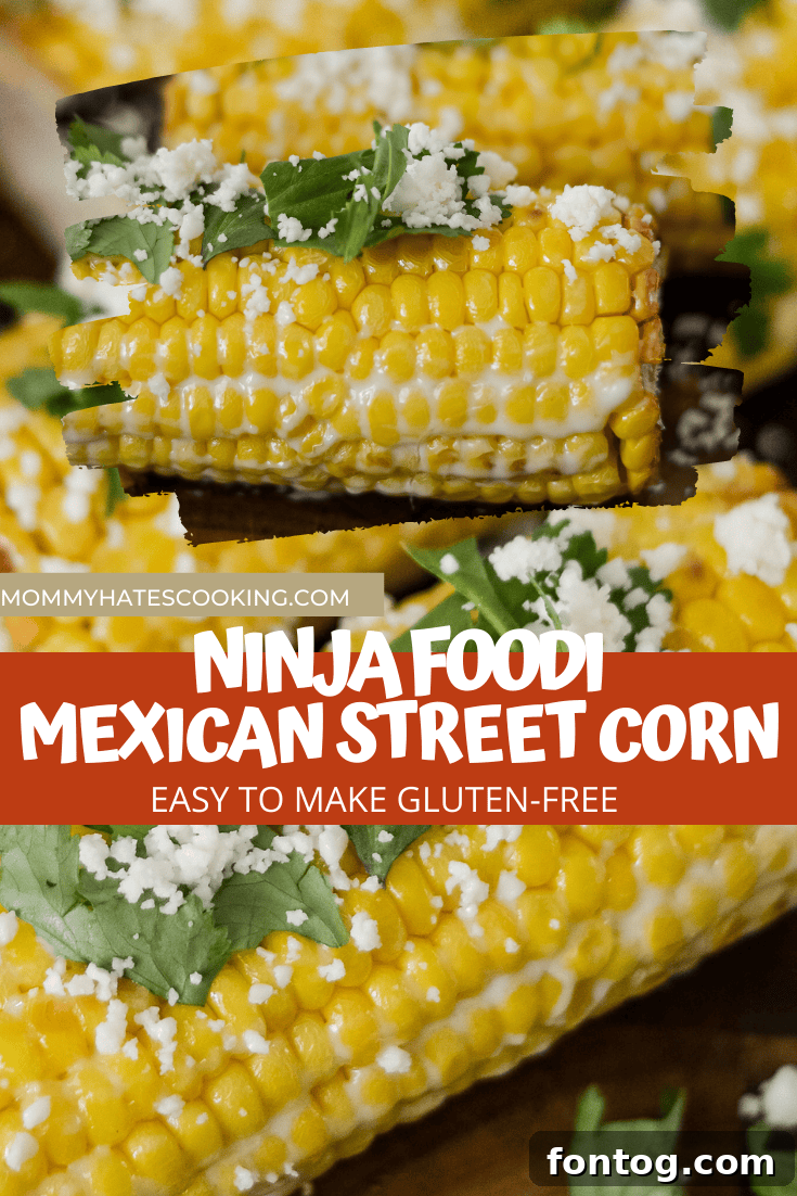 ninja foodi mexican street corn final image