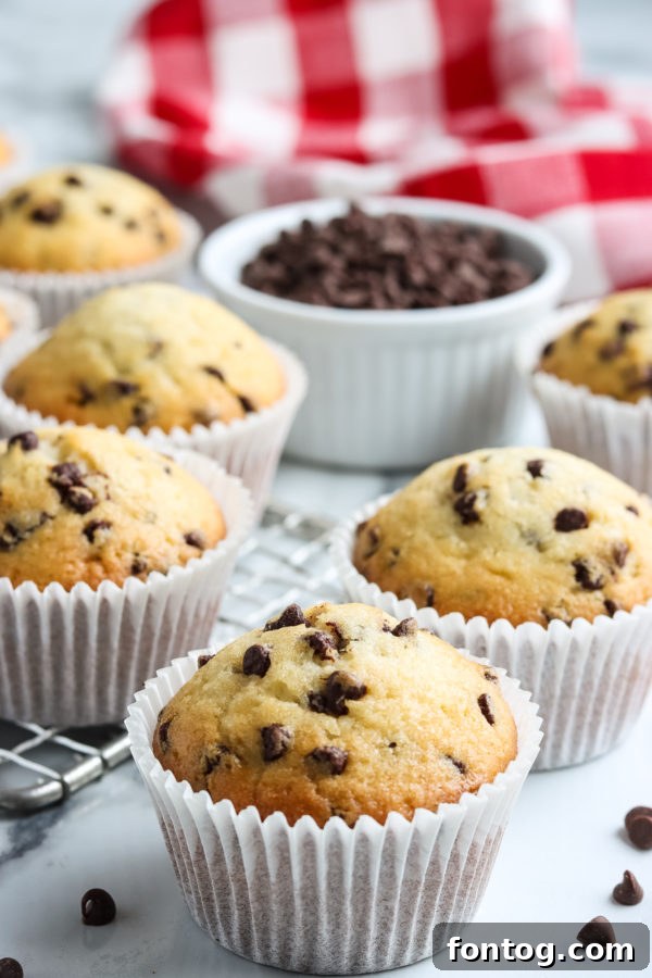 Gluten-Free Chocolate Chip Muffins baked to perfection, golden brown with visible chocolate chips.