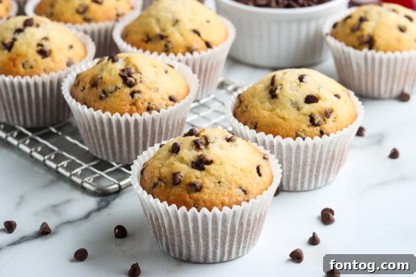 A baked gluten-free chocolate chip muffin sitting on a cooling rack.