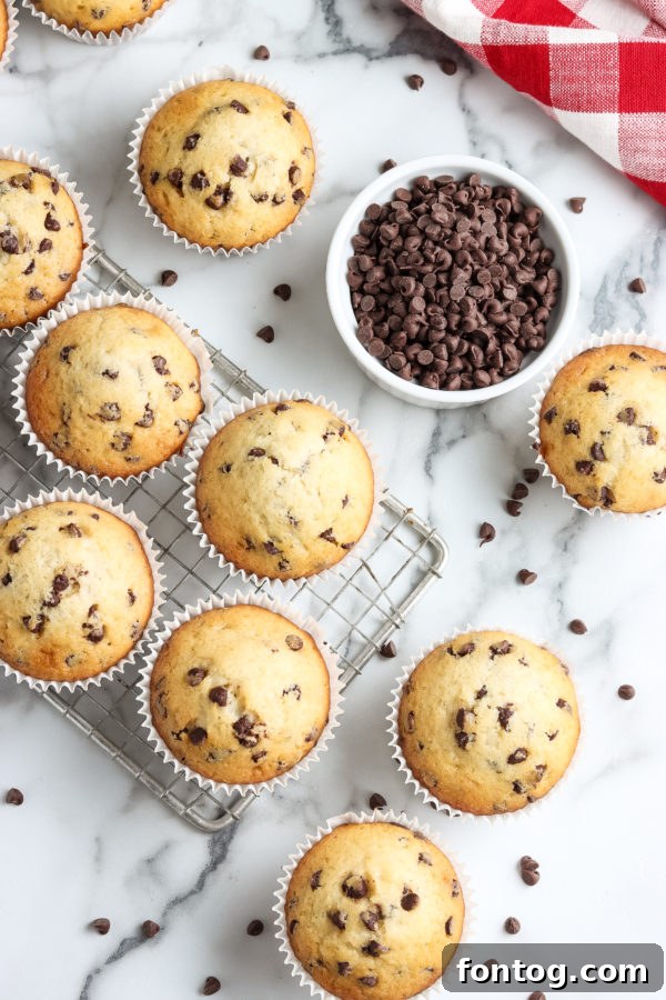 A basket full of delicious gluten-free chocolate chip muffins.