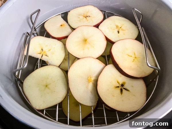 ninja foodi apple chips