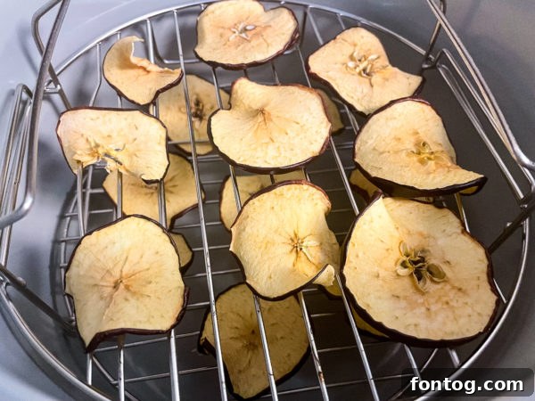 ninja foodi apple chips