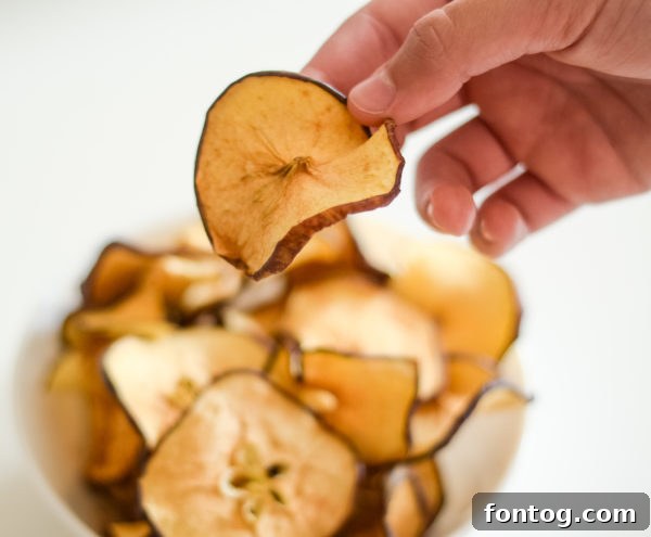 ninja foodi apple chips