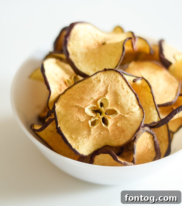 ninja foodi apple chips