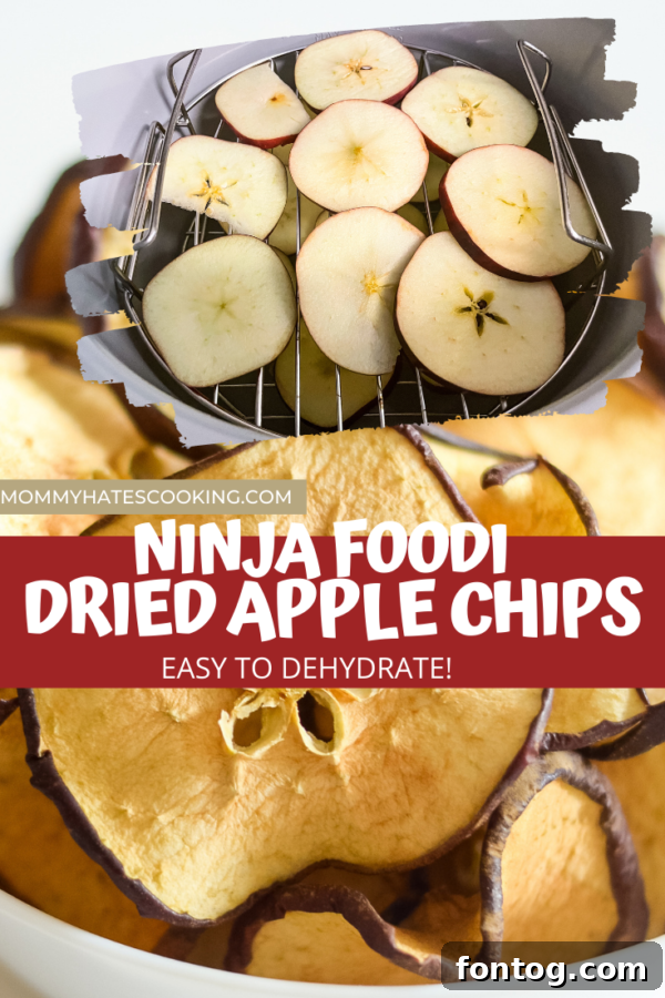 ninja foodi apple chips