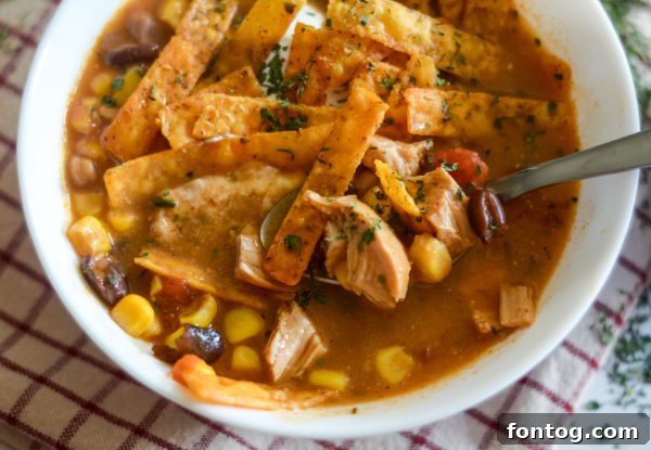 Top view of Ninja Foodi Chicken Enchilada Soup with cheese melting.