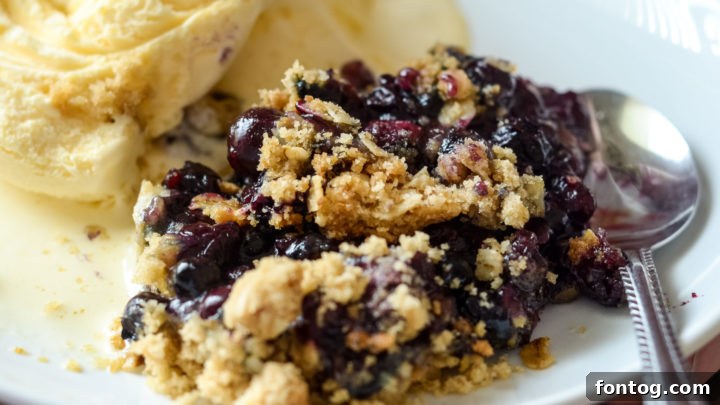 Ninja Foodi Blueberry Crisp, brimming with juicy blueberries and a crispy oat topping.