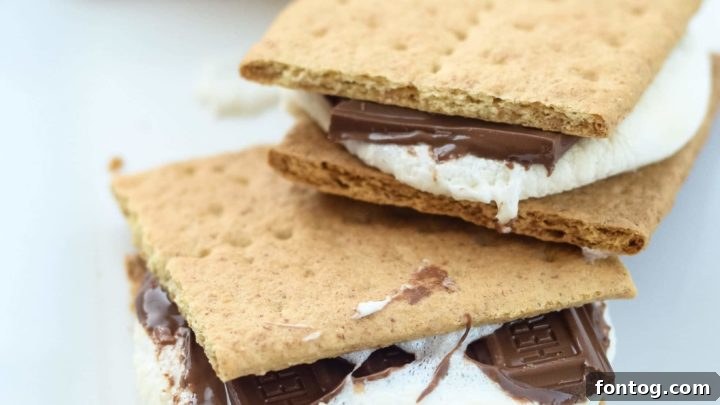 Air Fryer S'mores, perfectly toasted with gooey marshmallow and melted chocolate.