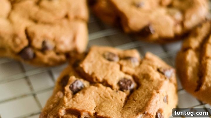 Golden-brown Toll House Cookies, baked to perfection in an Air Fryer.