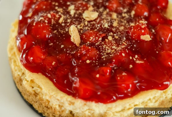A vibrant cherry cheesecake, freshly made in a Ninja Foodi, showcasing its impressive baking capabilities.