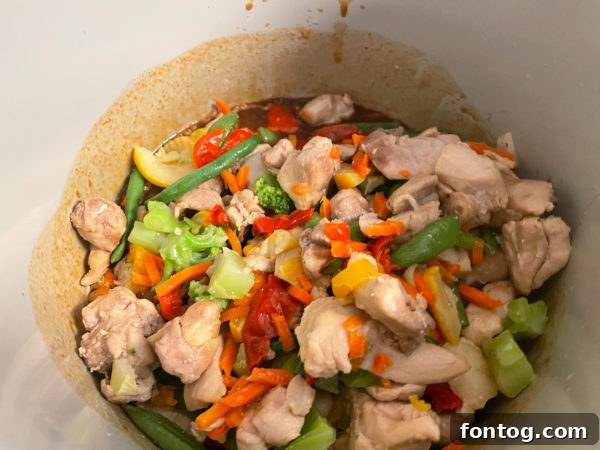 ninja foodi chicken stir fry