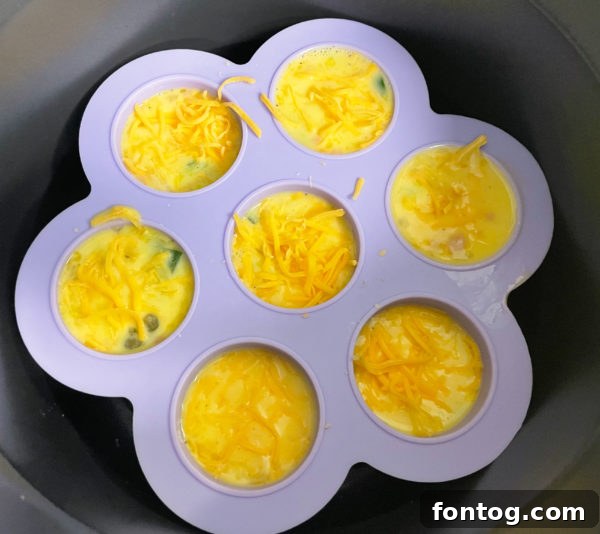 Delicious Ninja Foodi Air Fryer Egg Bites 3 Silicone egg bite mold, ready for use in the Ninja Foodi or air fryer