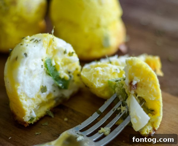 Delicious Ninja Foodi Air Fryer Egg Bites 8 A selection of Ninja Foodi Egg Bites, perfect for meal prepping and enjoying throughout the week