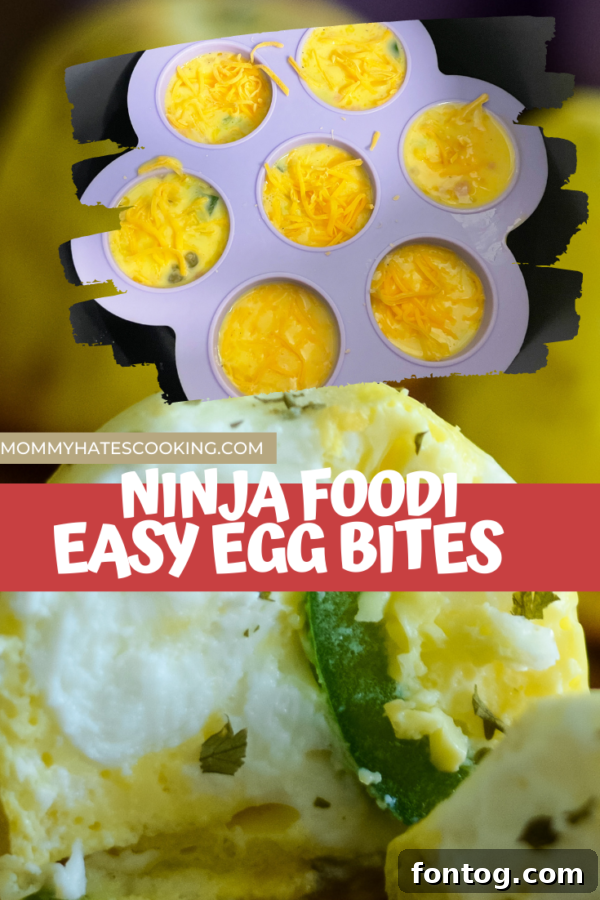 Delicious Ninja Foodi Air Fryer Egg Bites 10 Promotional image for Ninja Foodi Egg Bites, highlighting their ease and health benefits for meal prep